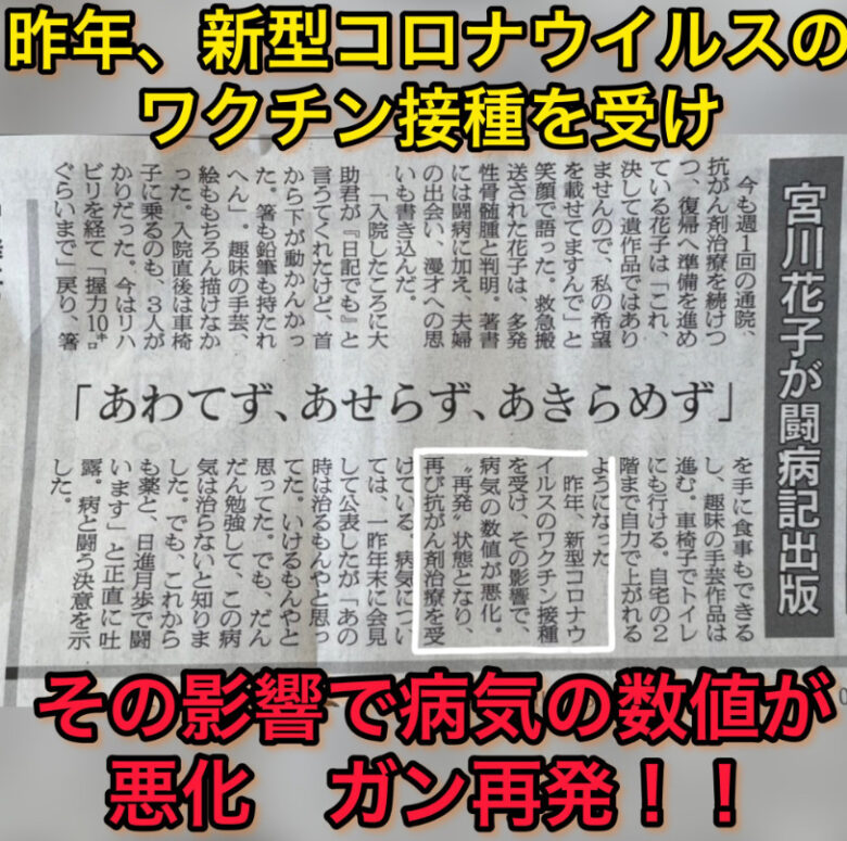 shinbun